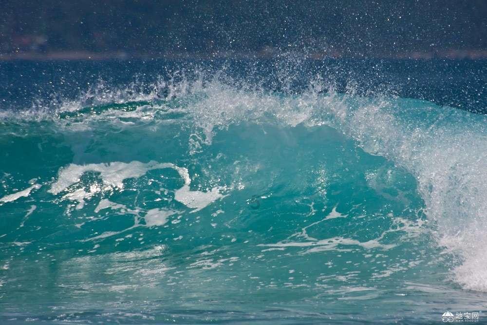 探索冷知识的是什么导致羊流产平台,解锁属于你的另类世界!